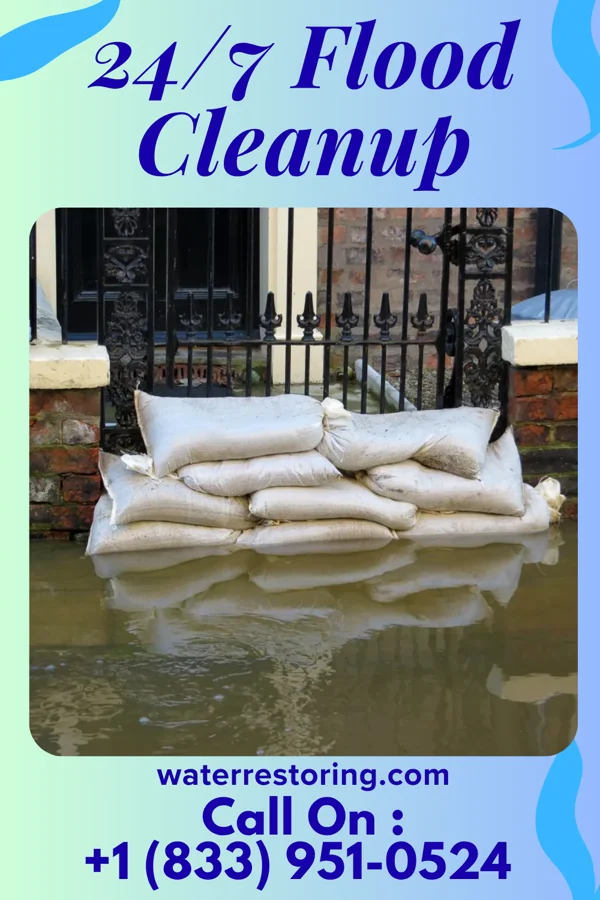 24/7 Flood Cleanup in Seminary, MS