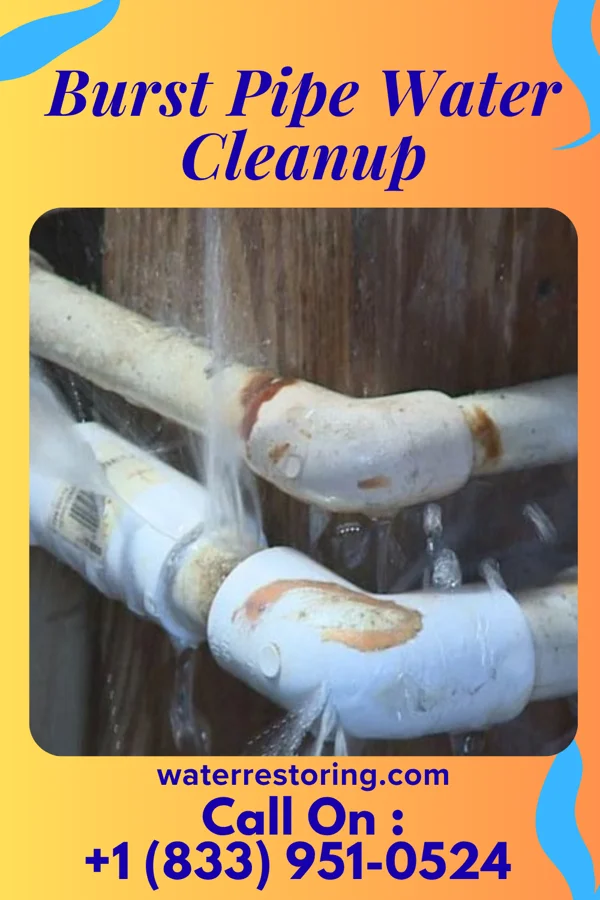 Burst Pipe Water Cleanup in Seminary, MS