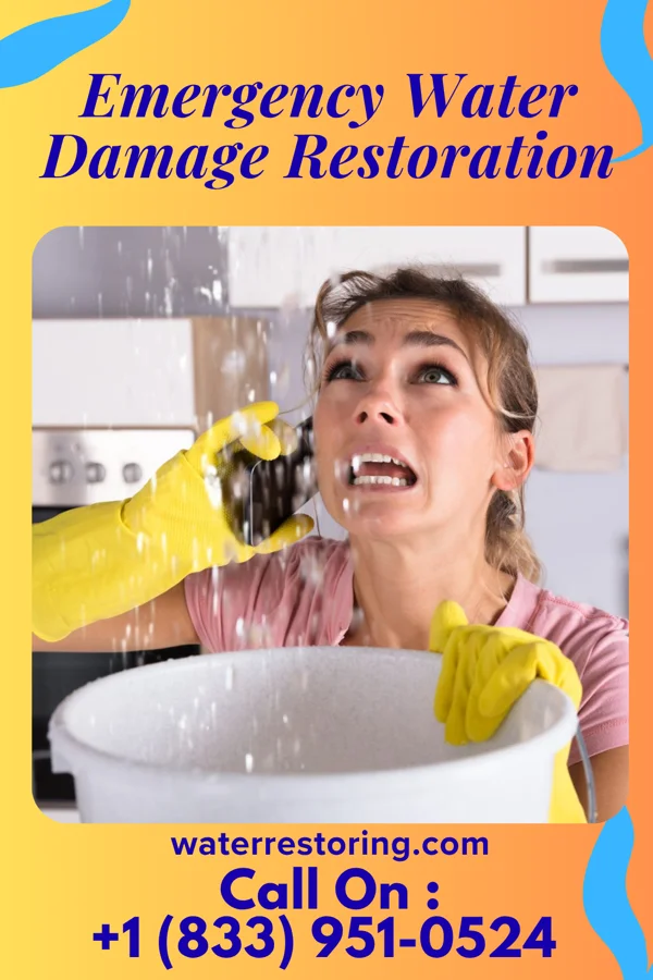 Emergency Water Damage Restoration in Seminary, MS