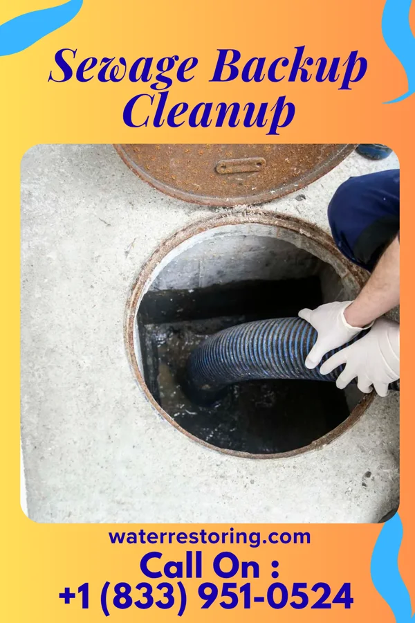 Sewage Backup Cleanup in Seminary, MS